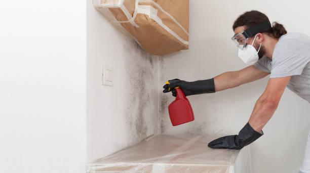 Professional Basement Mold Remediation technician working in Myersville, MD