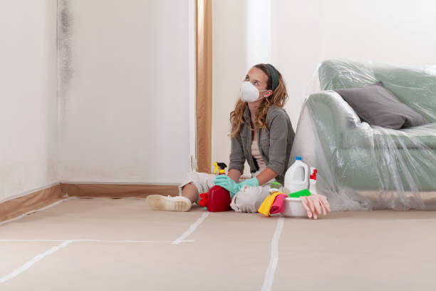 Reliable Basement Mold Remediation contractor in Myersville, MD by WQB Mold Removal