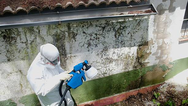 Top rated local Basement Mold Remediation specialists in Myersville, MD